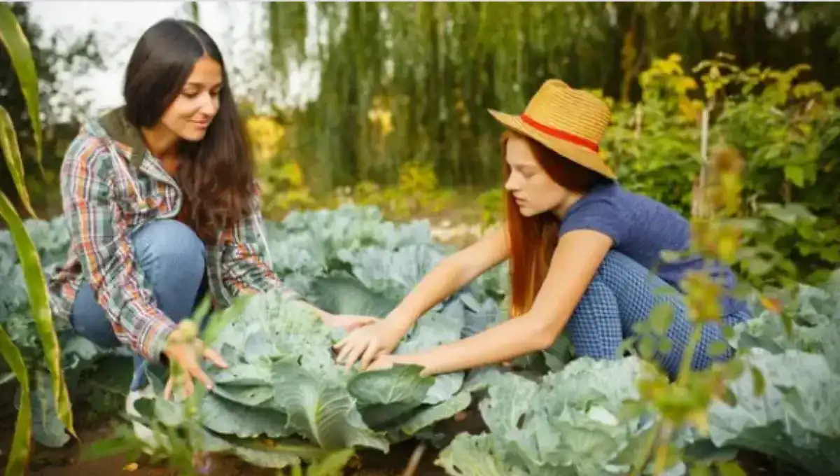 Things to Consider Before Buying Gardening Clothes for Women