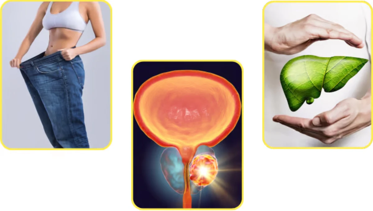 Key Health Benefits of Moringa Supplementation